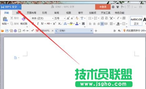 wps如何关闭屏幕提示功能 三联