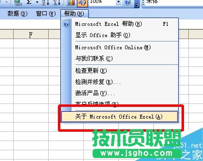 excel怎么查询版本信息?