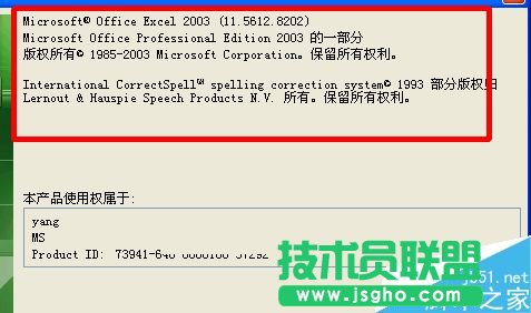 excel怎么查询版本信息?