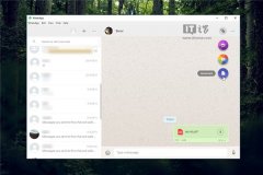 Win10桌面版WhatsApp更新内容