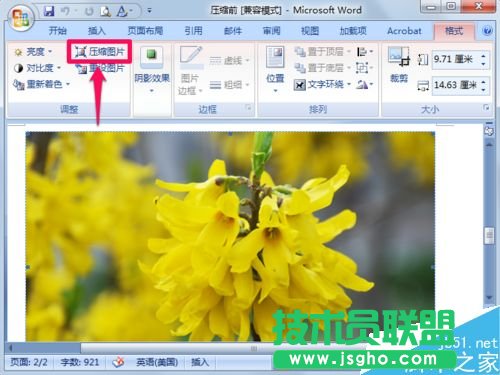 word图片压缩的方法   三联