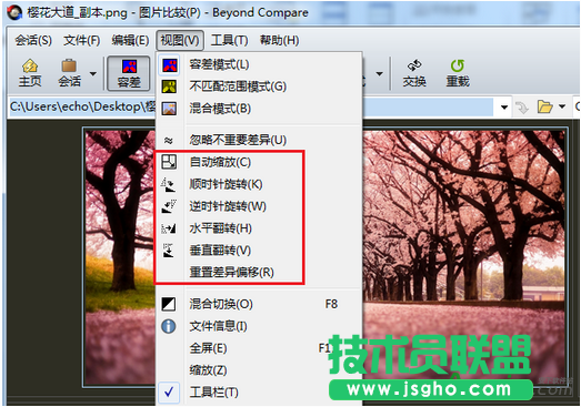 Beyond Compare如何快速进行图片对比 三联
