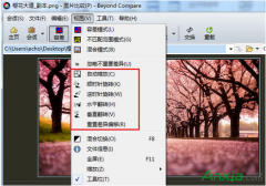 Beyond Compare如何快速进行图片对比