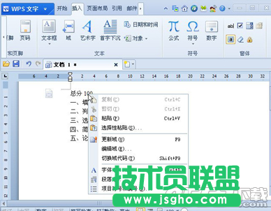 wps文字型窗体怎么用 wps文字型窗体使用方法