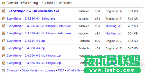怎么安装搜索软件everything的语言包？