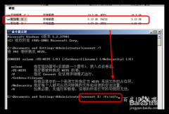 everything怎么快速搜索文件