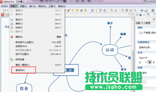 XMind思维导图软件界面语言怎么更改？ 三联