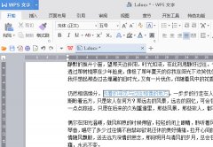 WPS2016如何使用格式刷