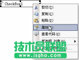 在Word文档中输入方框中打对勾