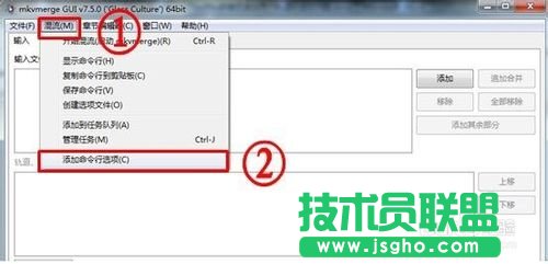 怎样用MKVToolNix封装后多出两个轨道标签的问题的详细解答