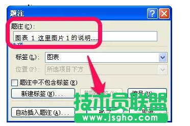 Word文档中图表目录的生成方法