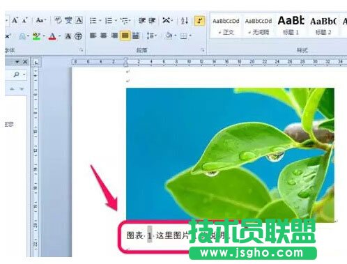 Word文档中图表目录的生成方法