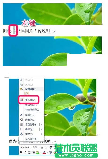 Word文档中图表目录的生成方法