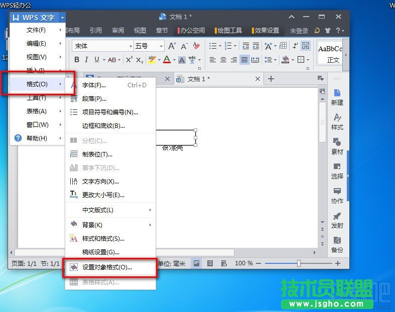 WPS2016版权说明如何添加