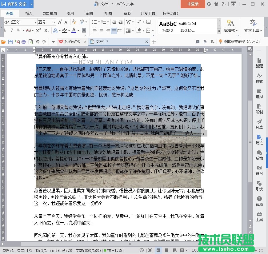 WPS如何选择工具与隐藏图片功能？ 三联