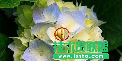 如何在ppt中插入声音