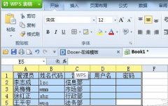 WPS表格快速生成用户名和密码的技巧