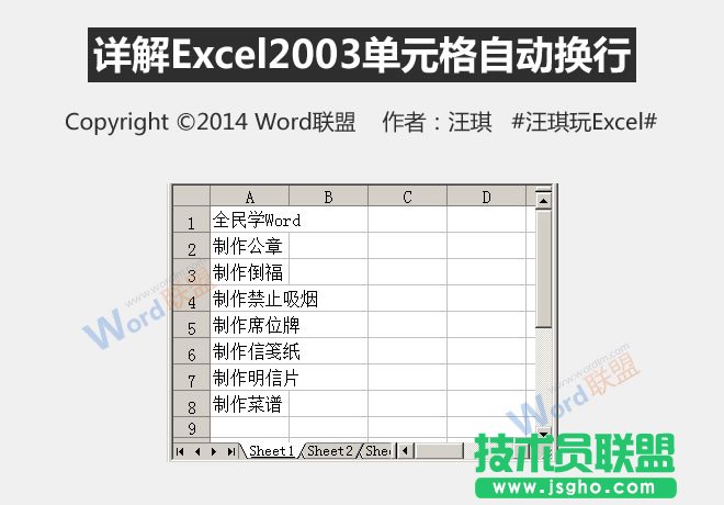 Excel2003单元格自动换行的方法   三联
