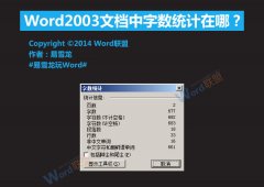 Word2003文档中字数统计在哪？