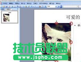 ppt2013怎么设置文字环绕效果?