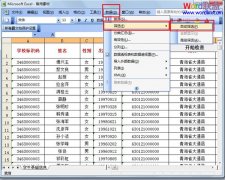 巧用Excel2003“自动筛选”工具筛选数据技巧