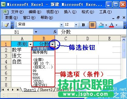 excel怎么筛选?