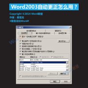 Word2003自动更正怎么用？