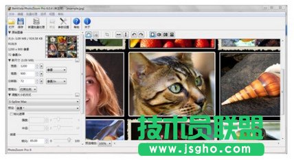 ppt图片太小怎么办   三联