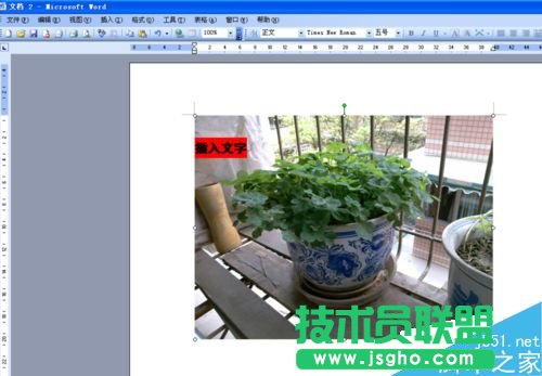 word文档怎么在图片上写字?