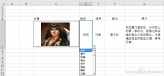 Excel图标信息联动制作方法