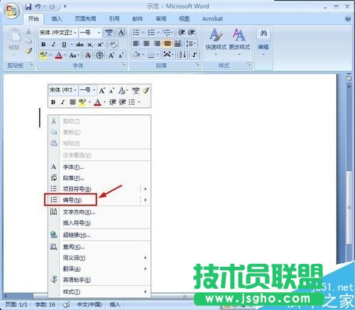 word文档怎么自动输入编号