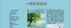 word2007文档如何进行排版