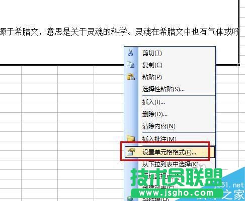 excel表格中如何编辑一大段文字?
