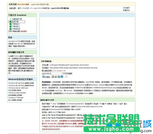 下载并放入pgort100.dll的步骤2.2