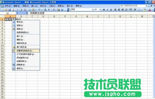 excel单元格内数据全部怎么显示