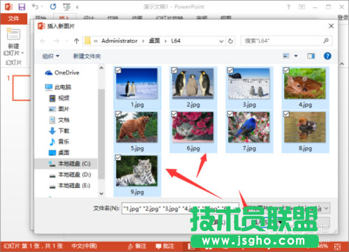 在PowerPoint2013中给相册添加音乐的详细讲解