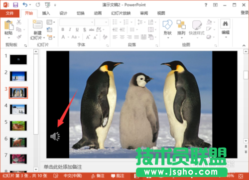 在PowerPoint2013中给相册添加音乐的详细讲解