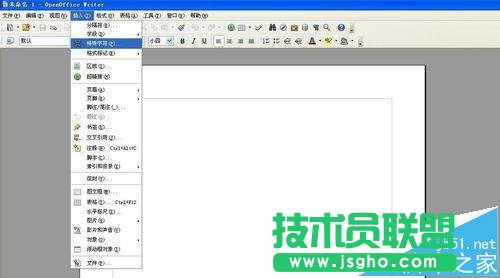 open office文档中怎么插入特殊字符?