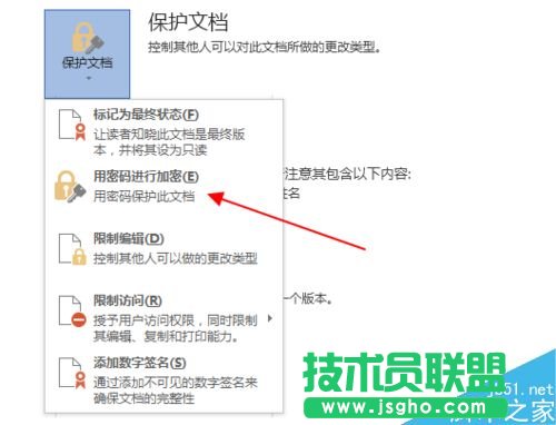word2013文档怎么加密?