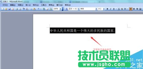 Word2003如何对文字字符进行缩放?