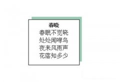 金山WPS设置文本框阴影效果的方法