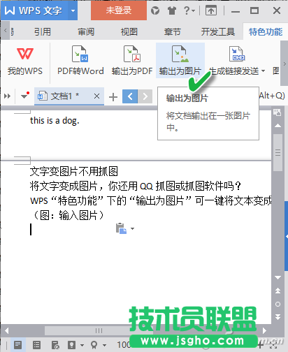 输出图片