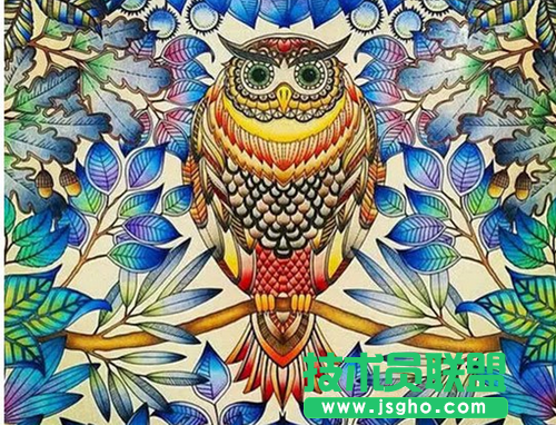 秘密花园