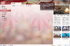 迅雷等级有什么用
