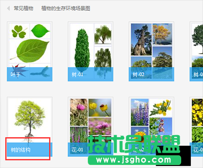 翻译软件有道词典
