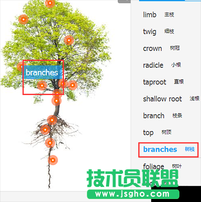 翻译软件有道词典