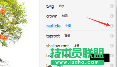翻译软件有道词典