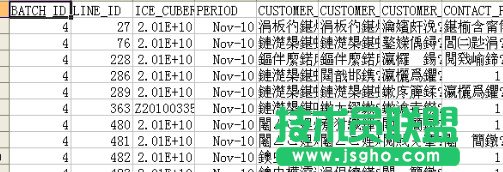 乱码的情况