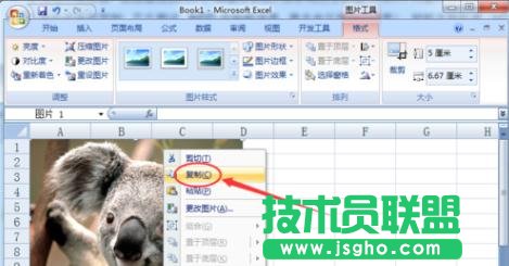 excel表格里的图片如何保存