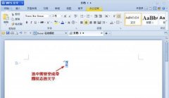 WPS文字中带圈字符使用小妙招